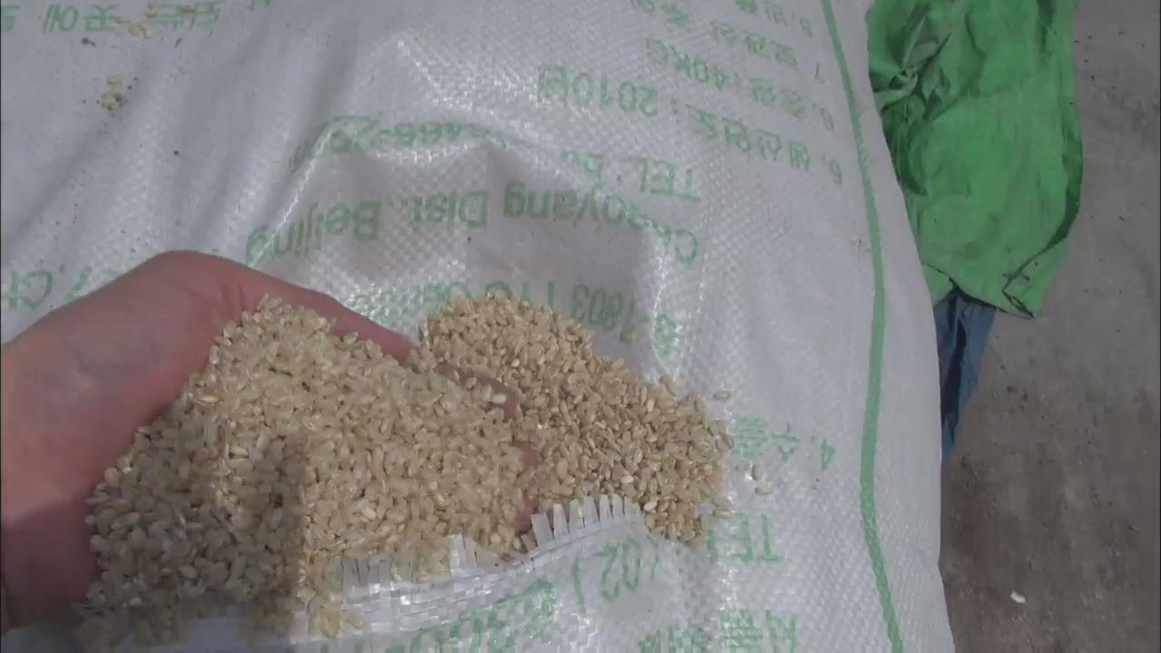 중국산 쌀 섞어 국산쌀로 팔아