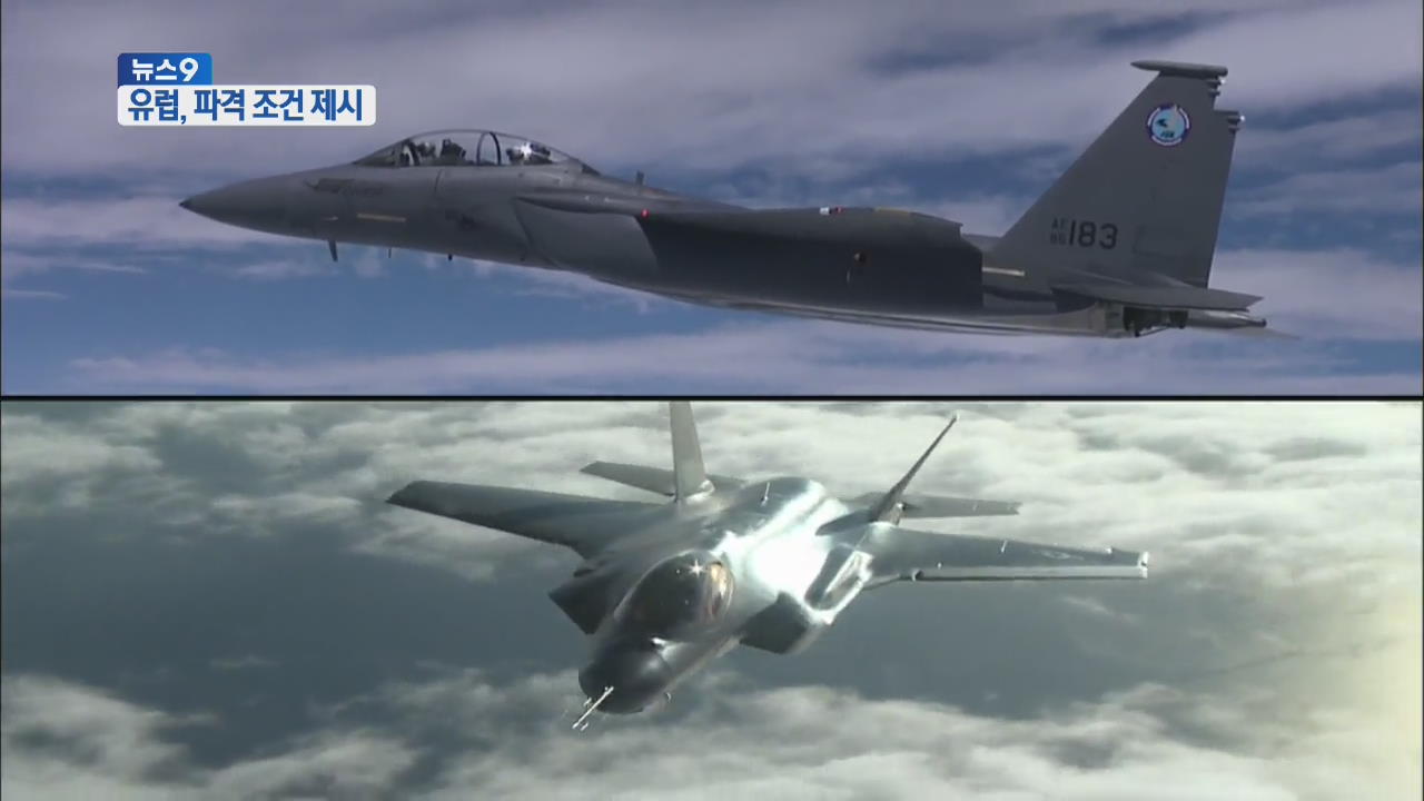 EADS “한국형 전투기 사업에 2조 투자” 제안