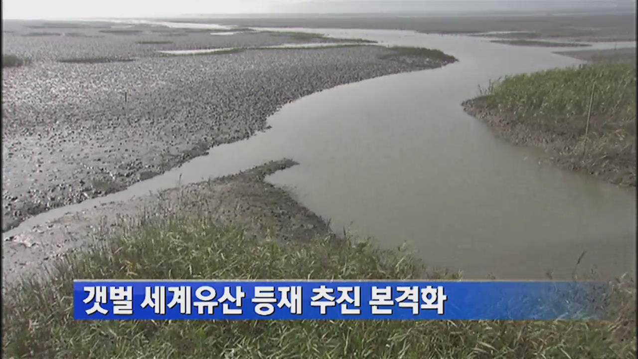 갯벌 세계유산 등재 추진 본격화