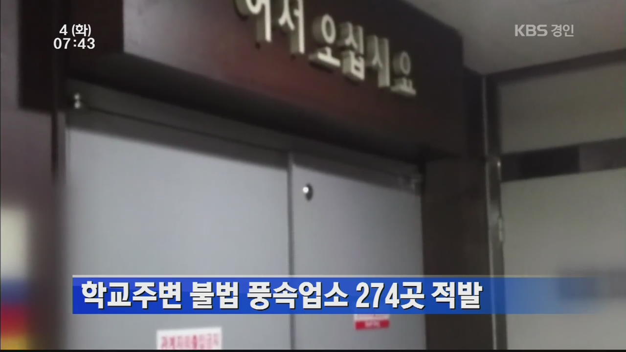 학교주변 불법 풍속업소 274곳 적발