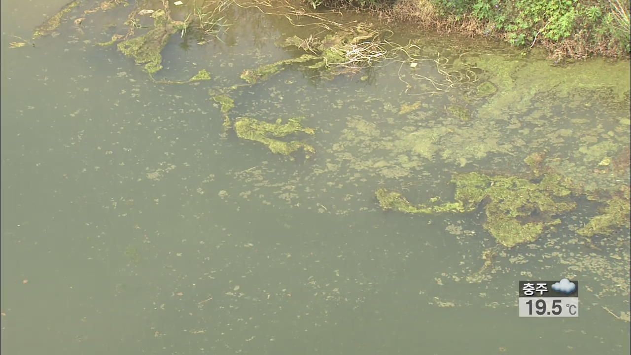 낙동강 녹조 발생…지난해보다 두 달 빨라