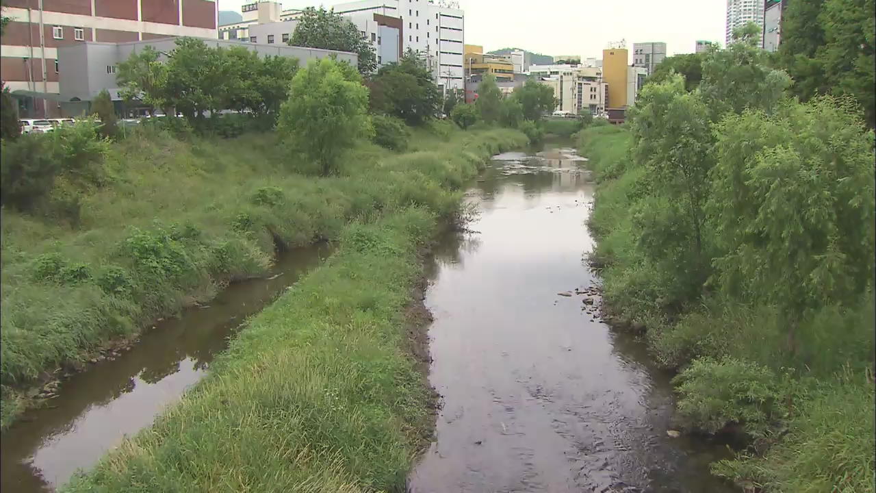 복원된 하천 또 복원…이상한 행정