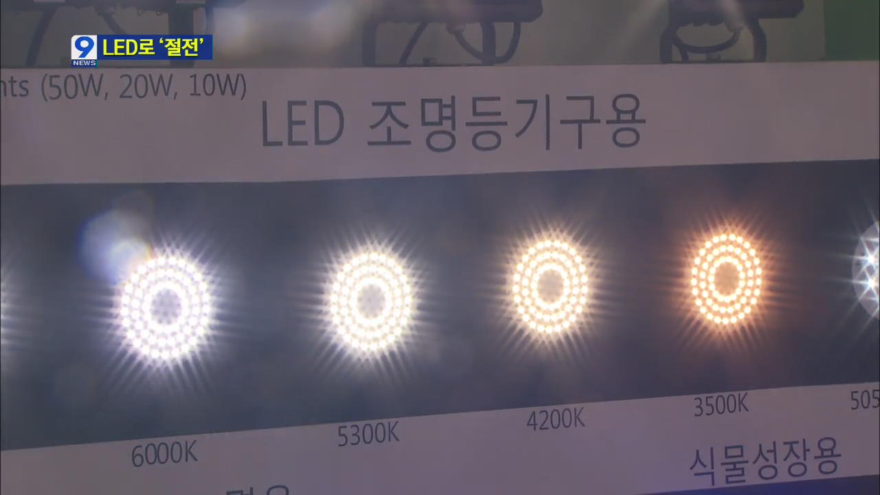 [앵커&리포트] 절전 효과 큰 LED…확산 방안은?