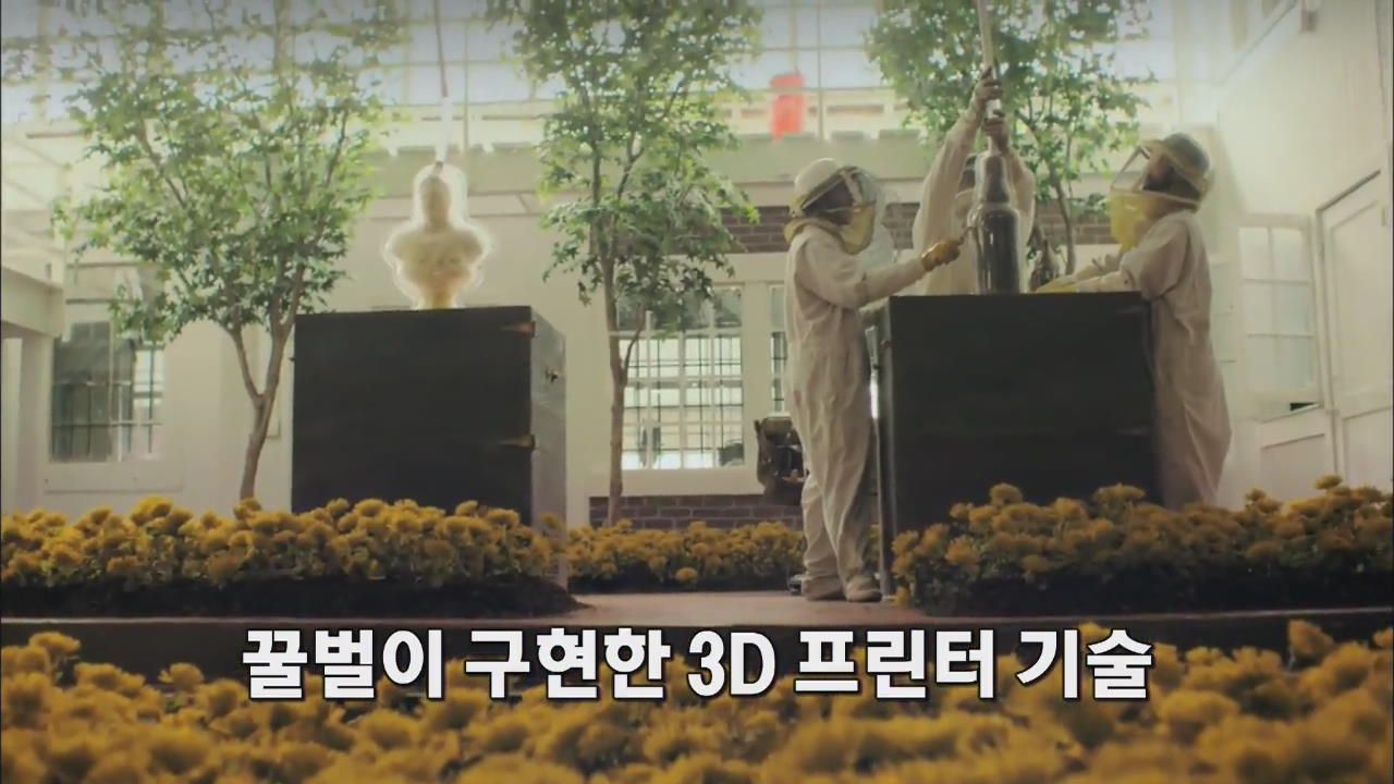 [세상의 창] 꿀벌이 구현한 3D 프린터 기술 外