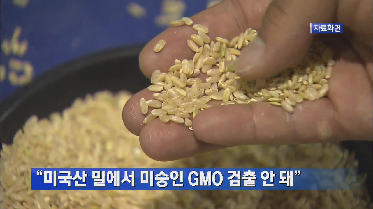 “미국산 밀에서 미승인 GMO 검출 안 돼”