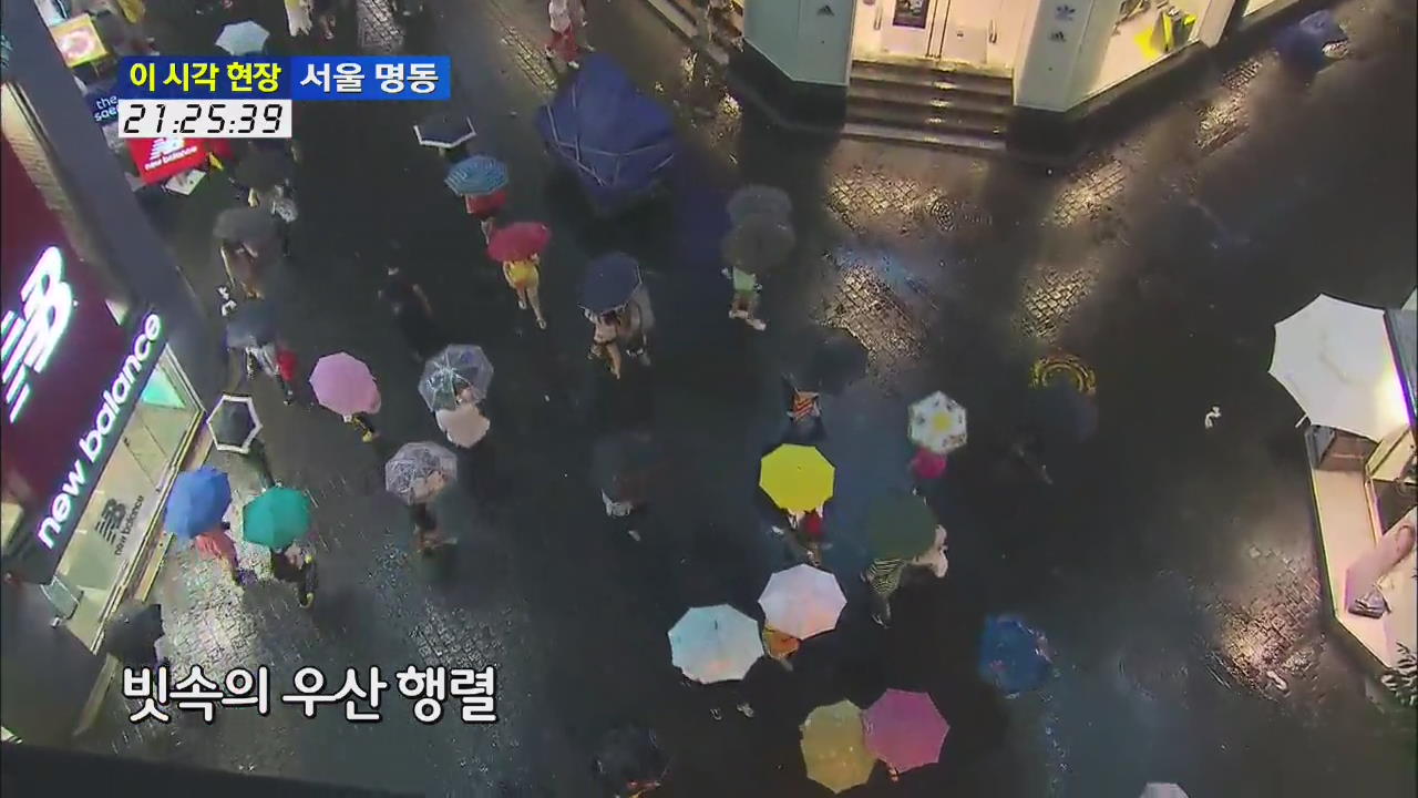 [이 시각 현장] 빗속의 우산 행렬