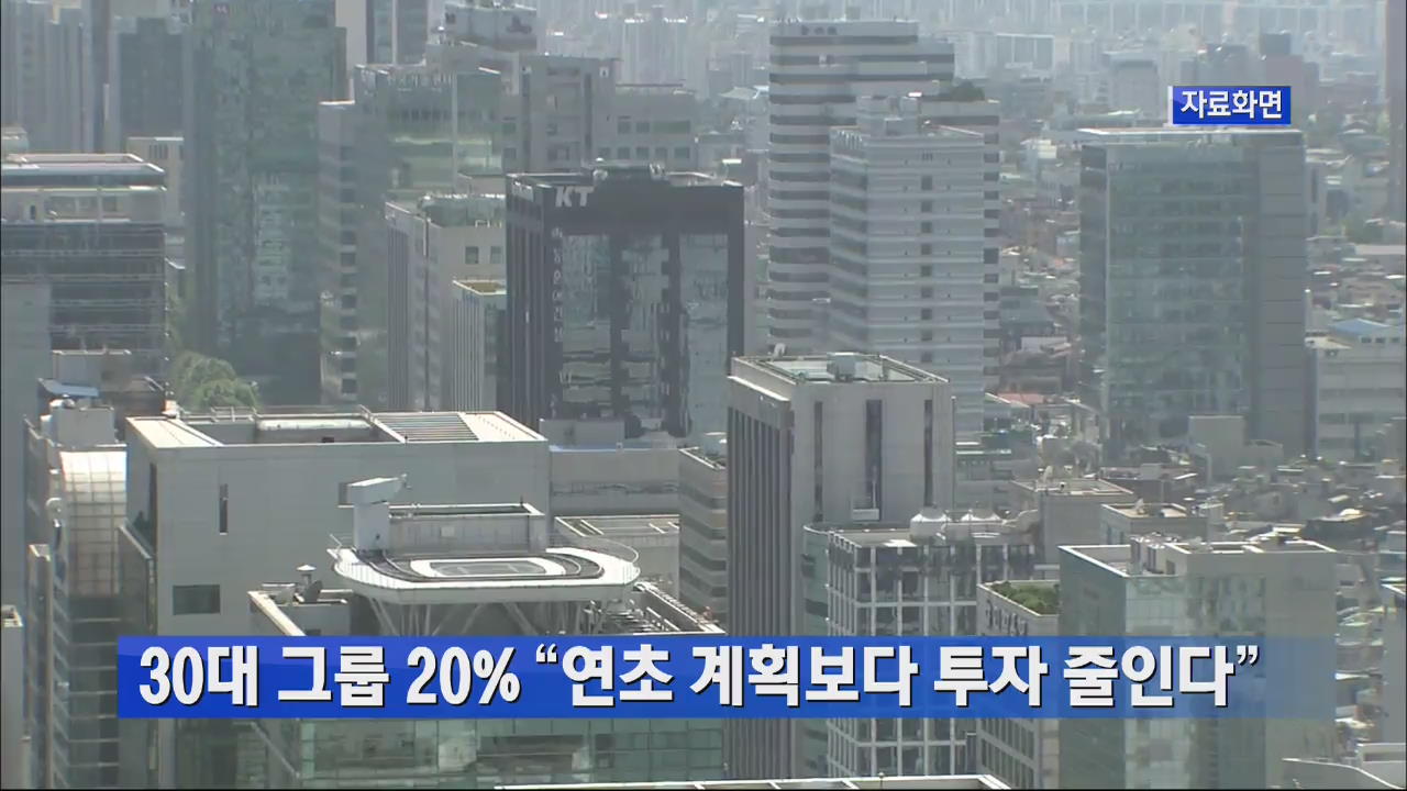 30대 그룹 20% “연초 계획보다 투자 줄인다”