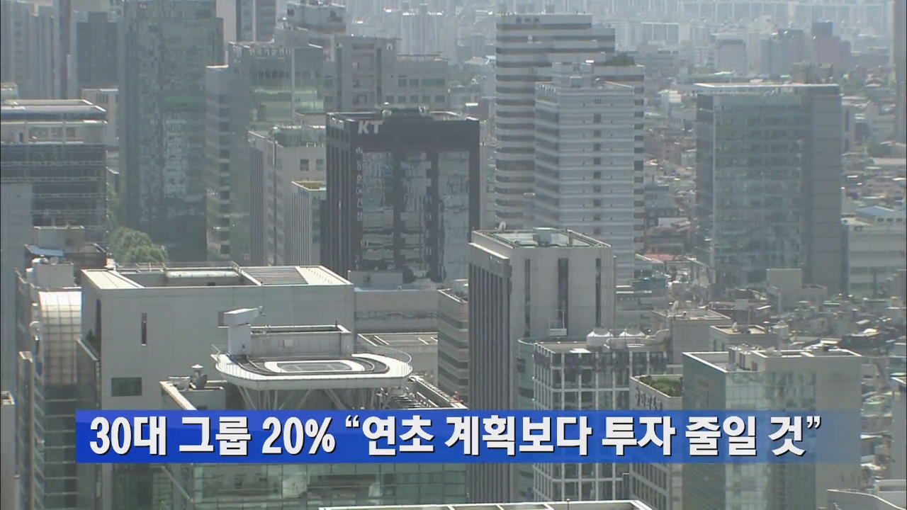 30대 그룹 20% “연초 계획보다 투자 줄일 것”