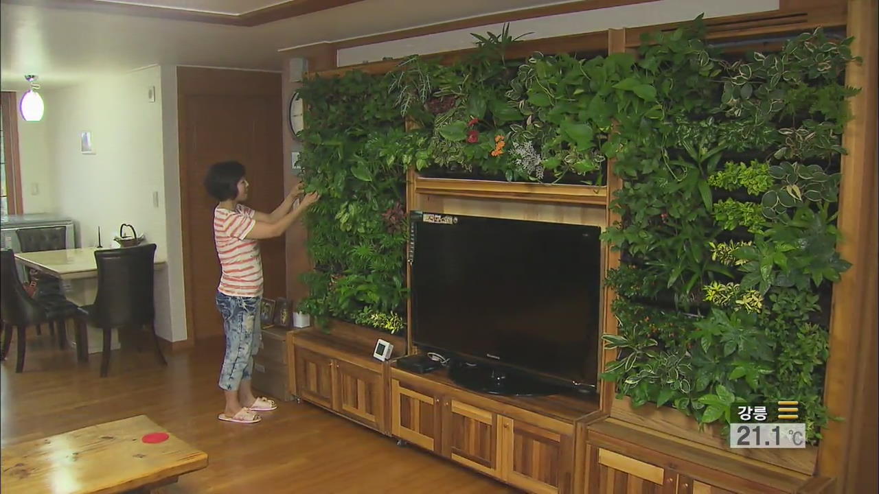 공기 정화에 냉방 효과 까지…‘식물 벽’ 개발