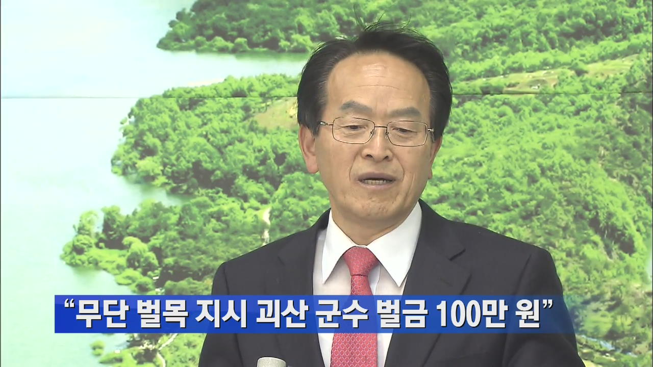 “무단 벌목 지시 괴산 군수 벌금 100만 원”