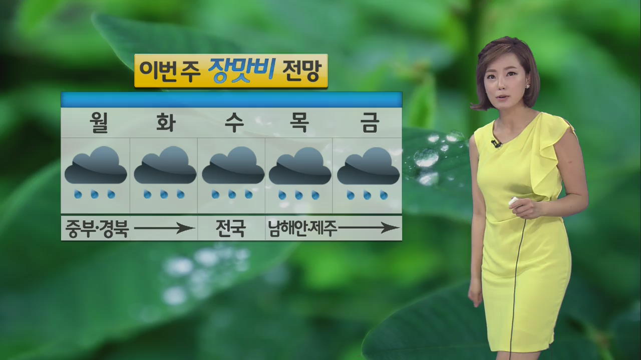 중부지방 강한 비…경기도 광주 시간당 78㎜