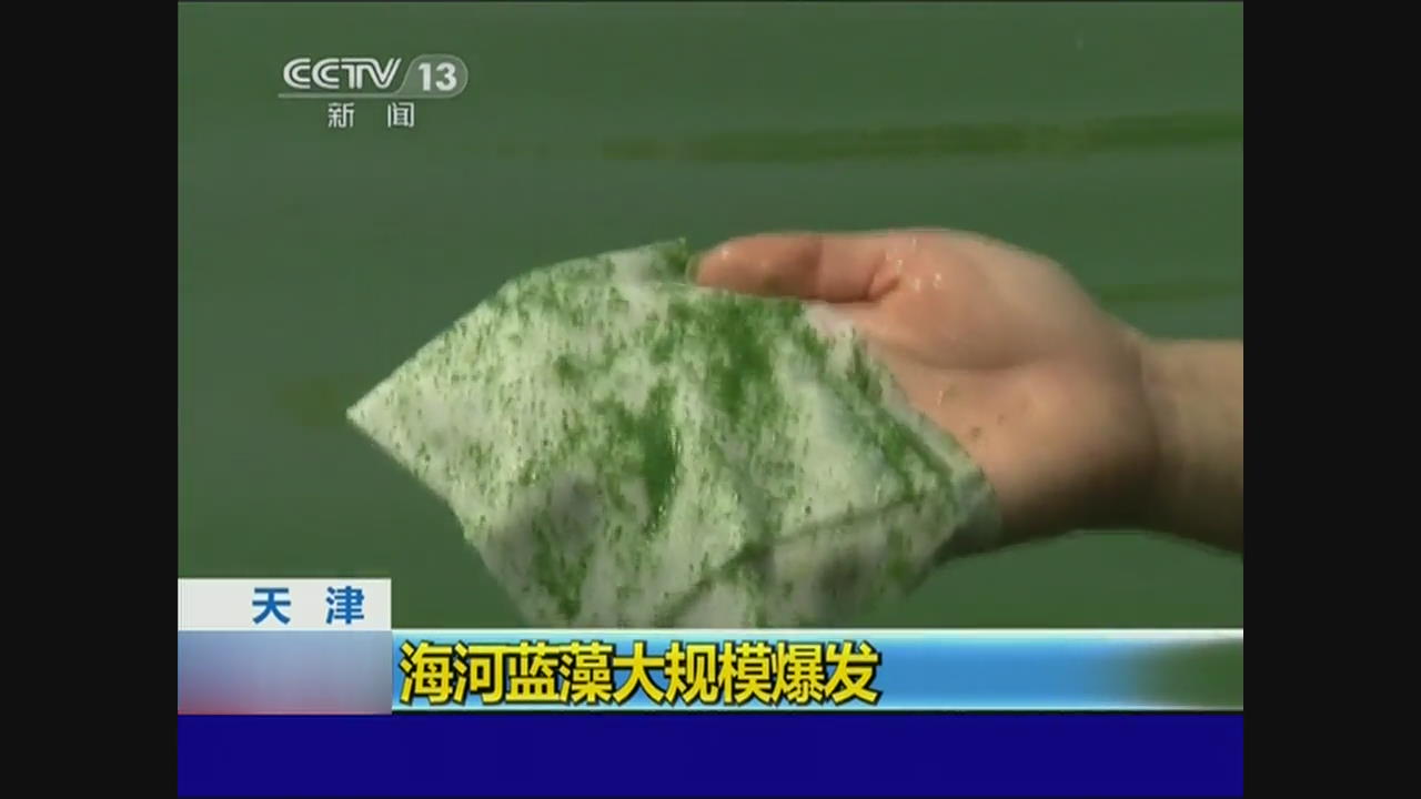 톈진 하이강 오염, 남조 확산