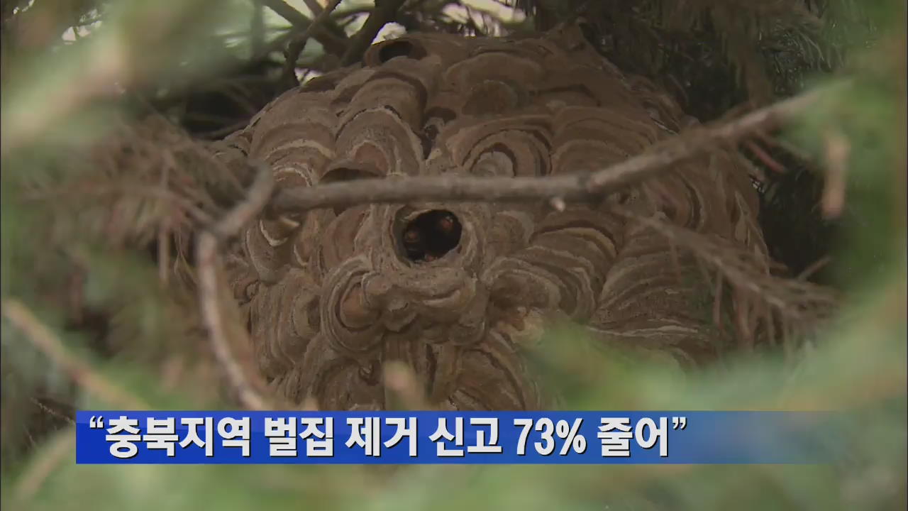 “충북지역 벌집 제거 신고 73% 줄어”