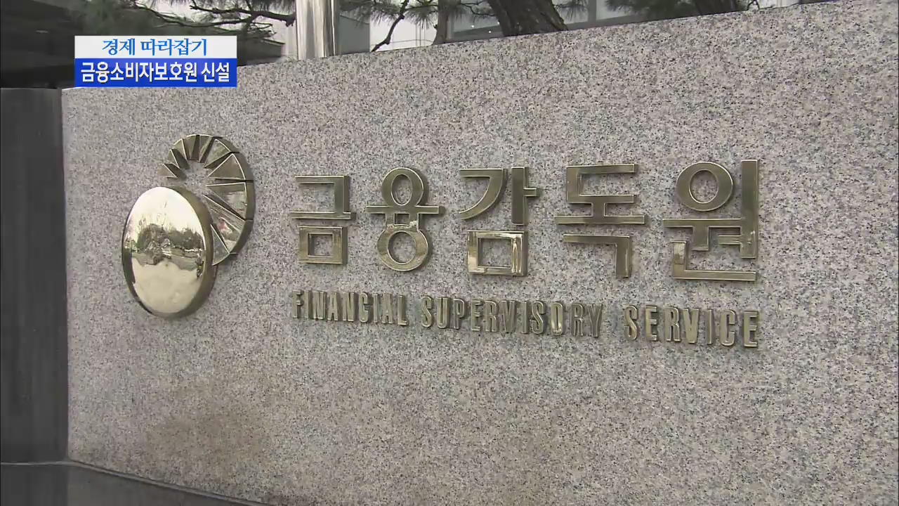 [경제 따라잡기] 금융소비자보호원 설립…‘엇갈린 반응’