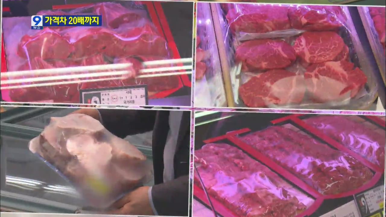 [앵커&리포트] 쇠고기 부위별 가격차 20배…비인기 부위 추락
