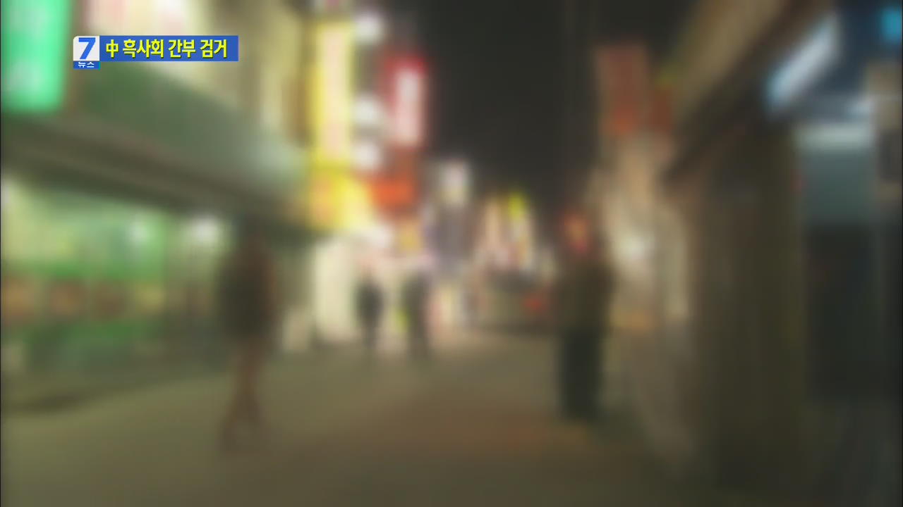 중국 흑사회 후계자 한국 잠입…핵심 자금줄 검거