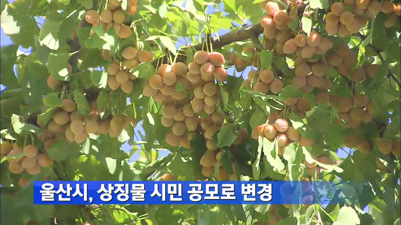 울산시, 상징물 시민 공모로 변경