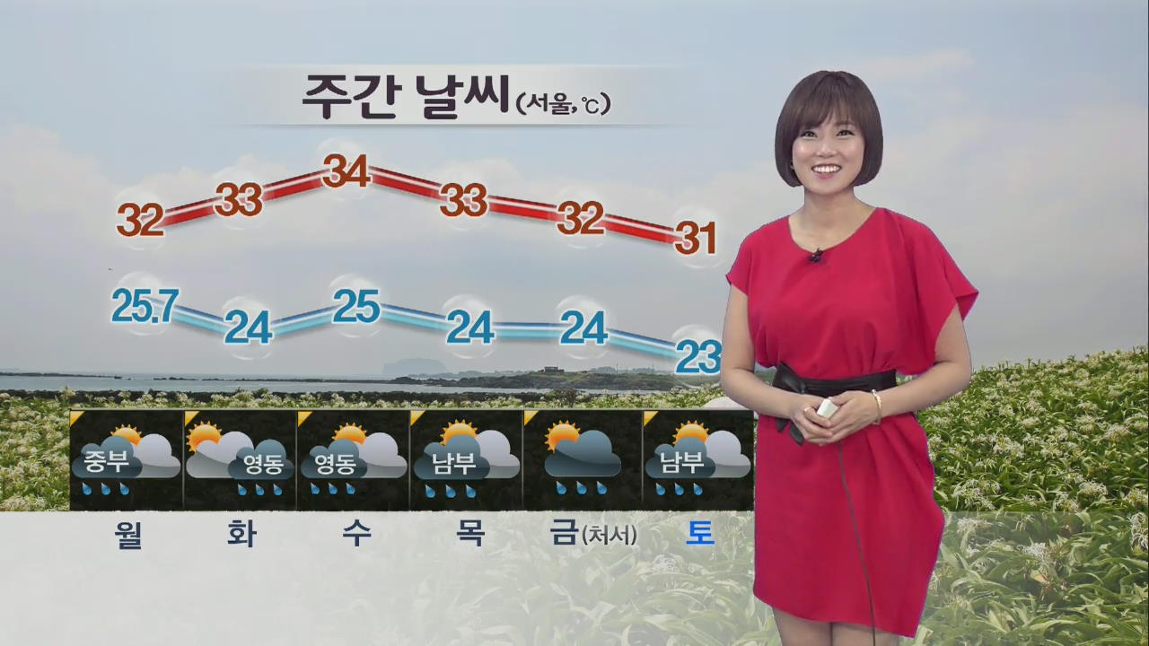 전국 곳곳 비에 출근길 불편…전 해상 안개