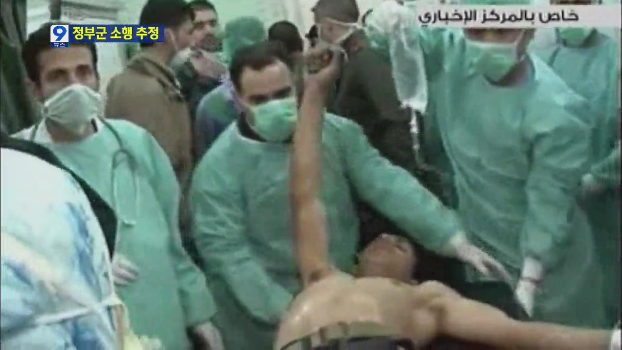 시리아 화학무기 사용, 정부군 소행에 무게