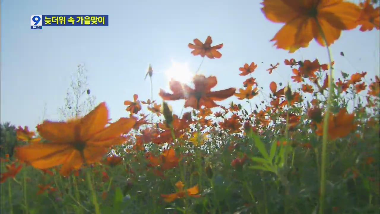 주말 여름 늦더위 계속…성큼 다가온 가을