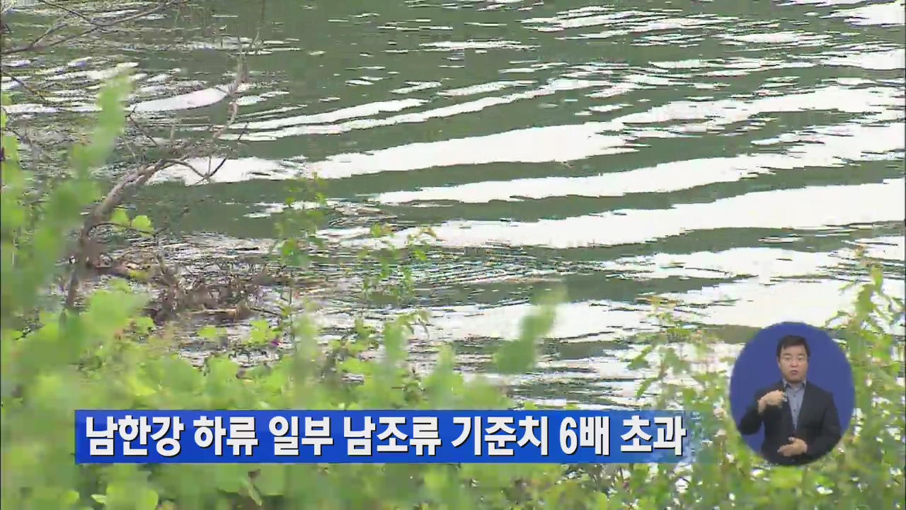 남한강 하류 일부 남조류 기준치 6배 초과