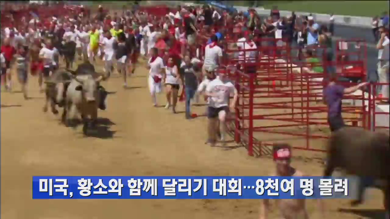 미국, 황소와 함께 달리기 대회…8천여 명 몰려