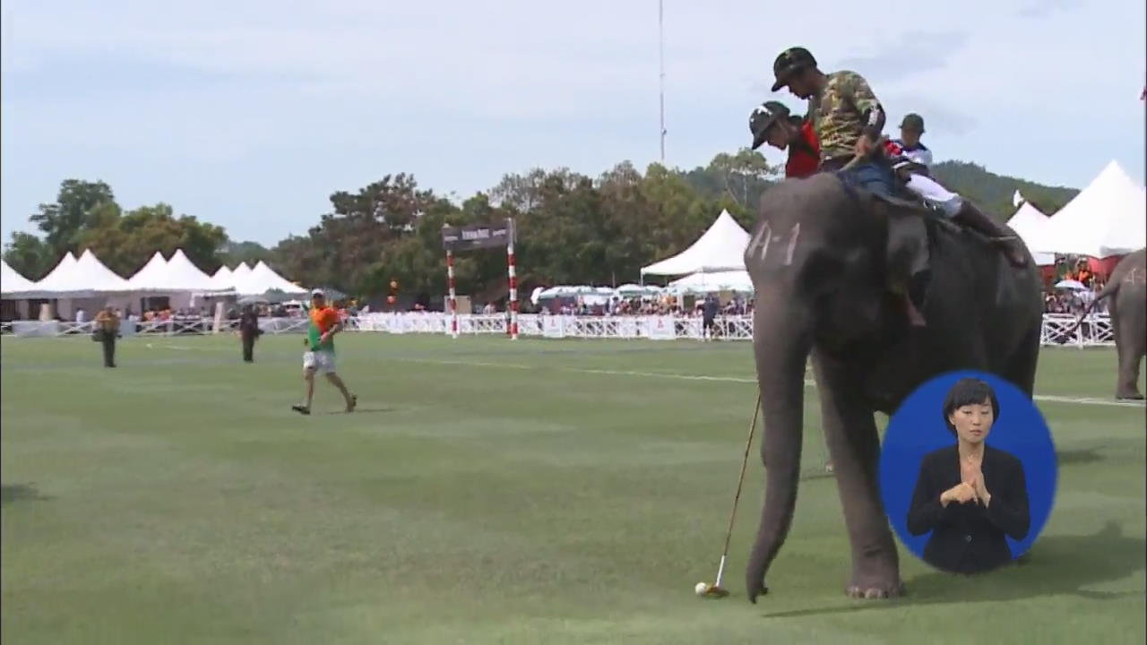 태국, ‘거대 코끼리 타고 경기’ 폴로대회 인기