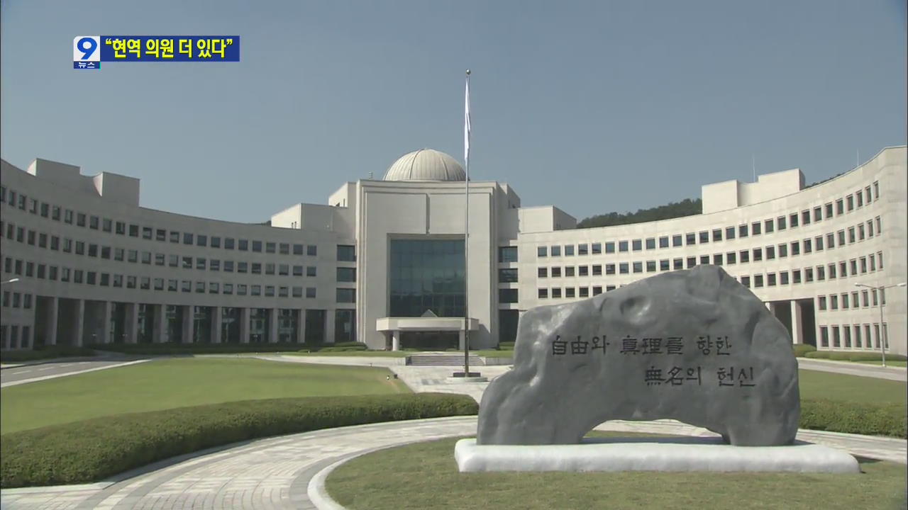 “이석기 외 지하혁명조직에 현역의원 더 있다”