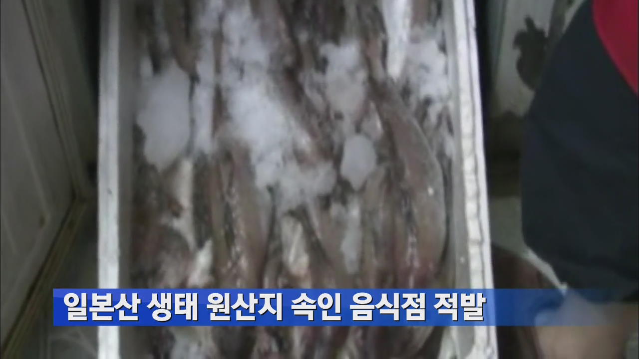 일본산 생태 원산지 속인 음식점 적발
