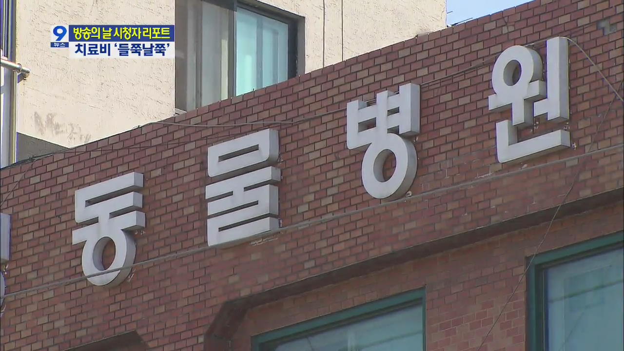 [시청자 리포트] 애완동물 치료비 부르는 게 값?