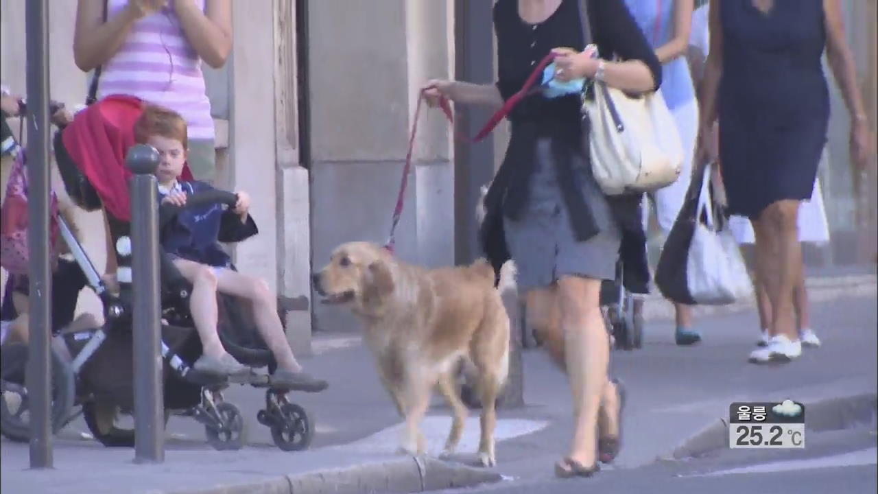 프랑스, 개 배설물 방치 감시 카메라로 추적