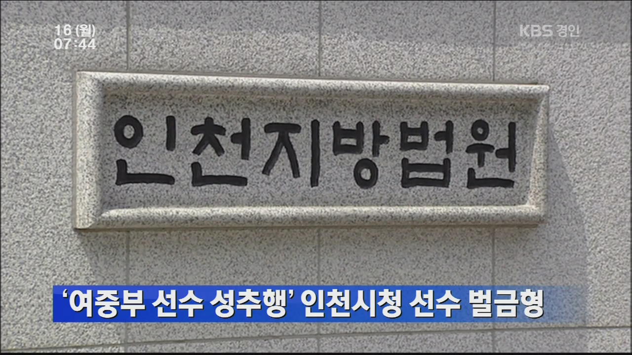 ‘여중부 선수 성추행’ 인천시청 선수 벌금형