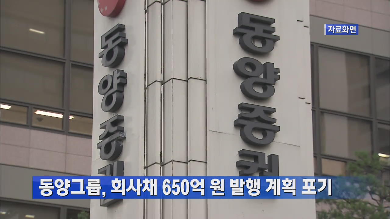 동양그룹, 회사채 650억 원 발행 계획 포기