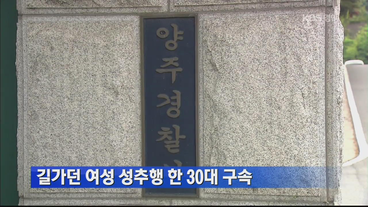 길가던 여성 성추행 한 30대 구속