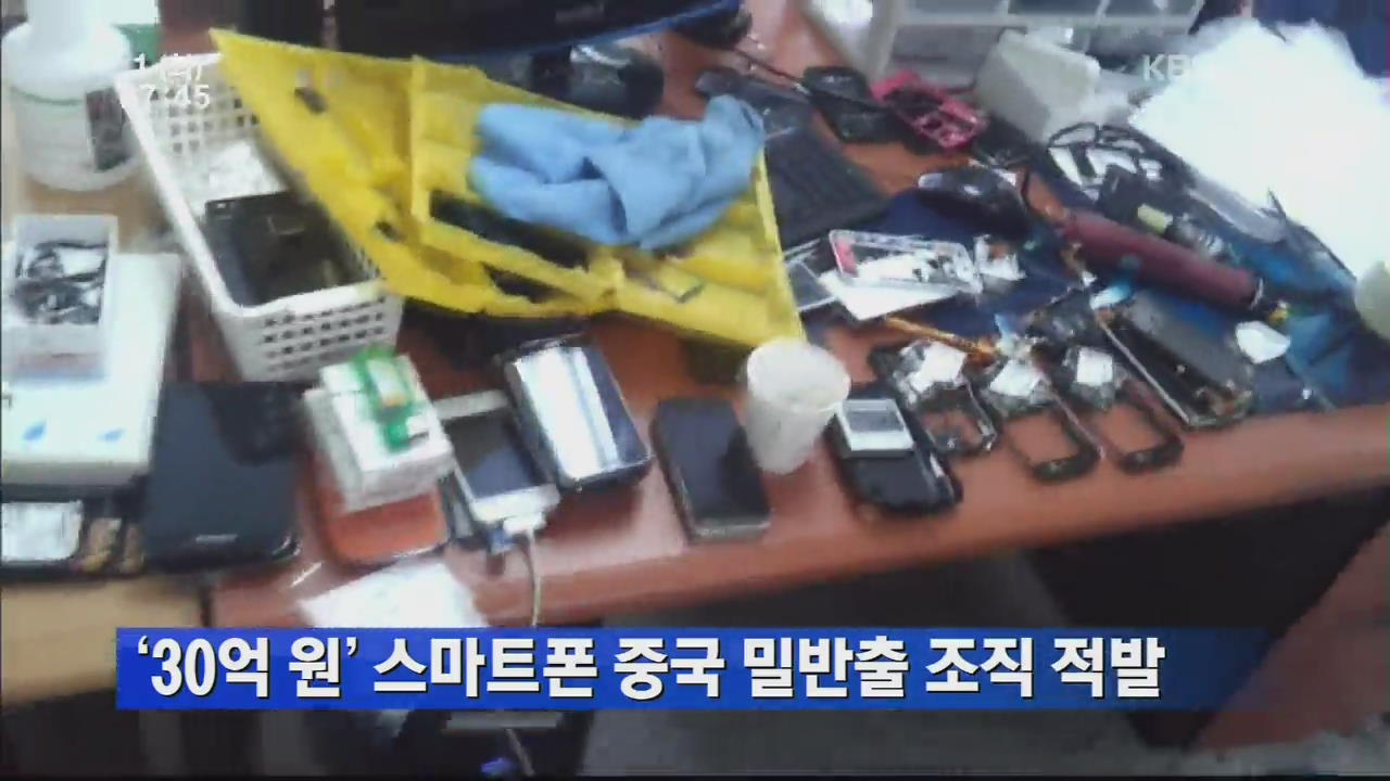 ‘30억 원’ 스마트폰 중국 밀반출 조직 적발