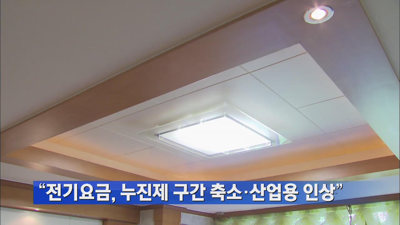 “전기요금, 누진제 구간 축소·산업용 인상”
