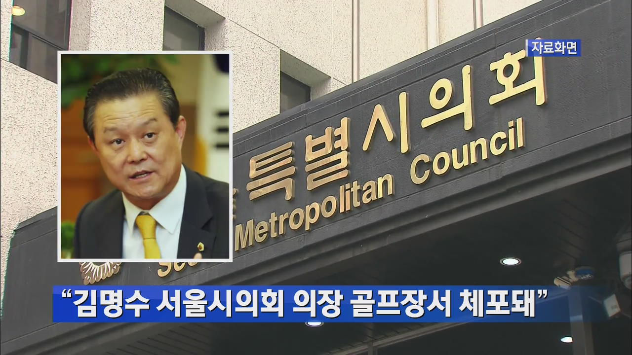 “김명수 서울시의회 의장 골프장서 체포돼”