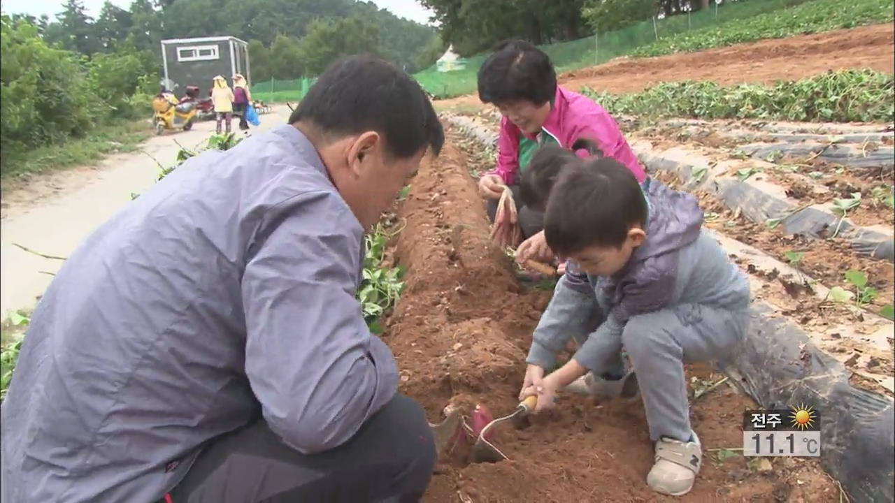[주말공감] 수확 직접 체험 “신나요”