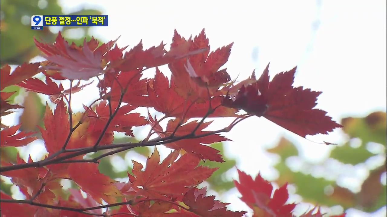 절정으로 향하는 설악산 단풍에 ‘탄성’