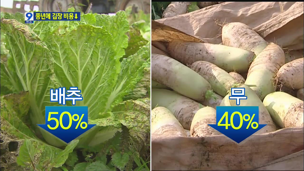 김장비용 30% 하락…주부 77% “김장 직접 할 것”