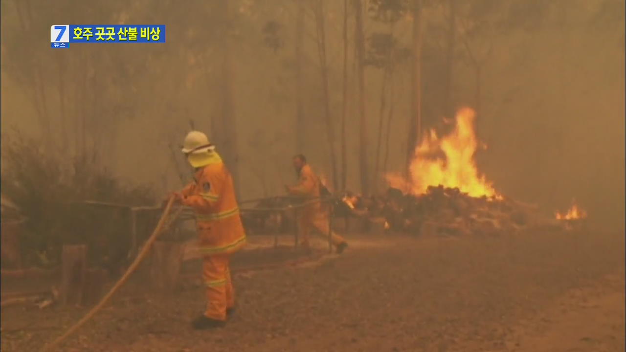 ‘이상고온’ 호주 동시다발적 산불…피해 속출