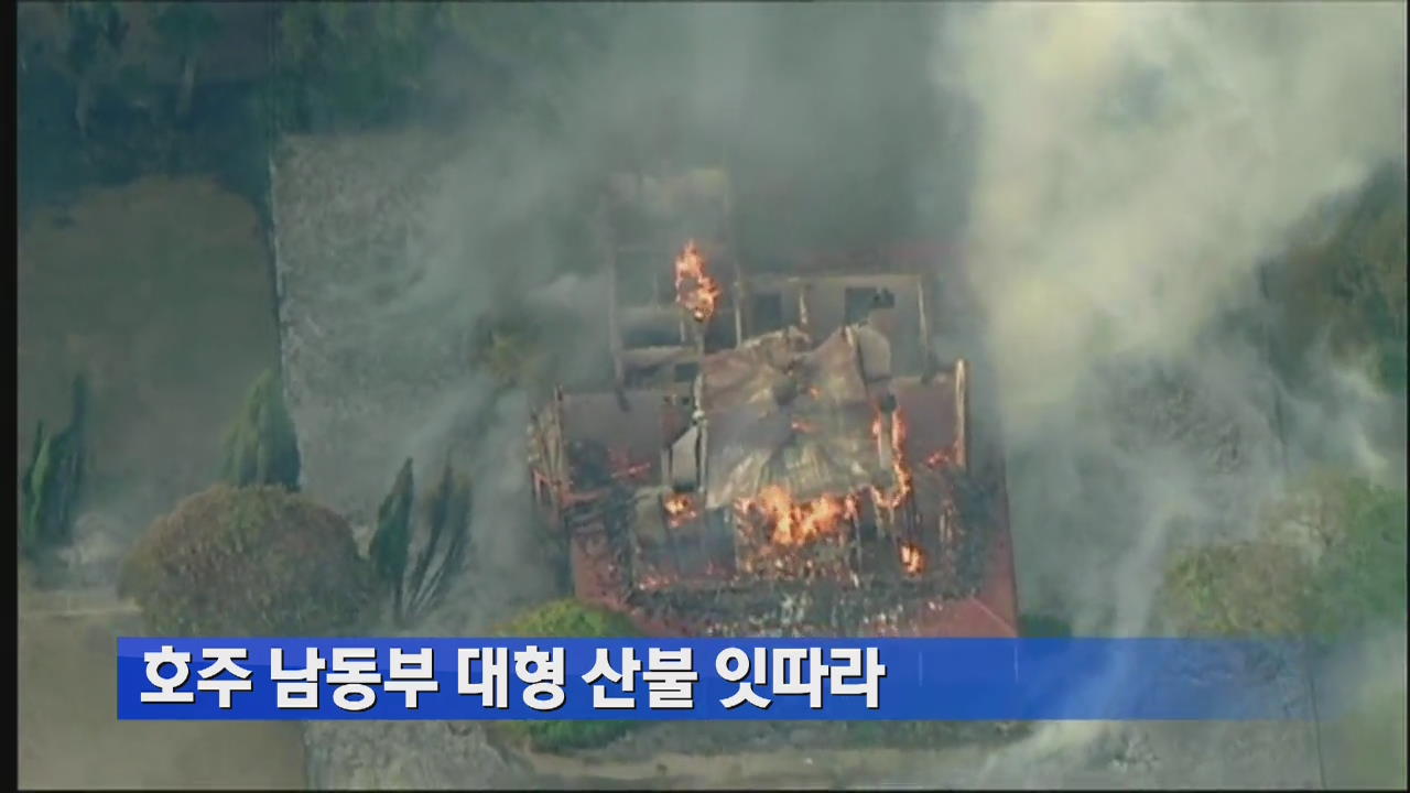 호주 남동부 대형 산불 잇따라