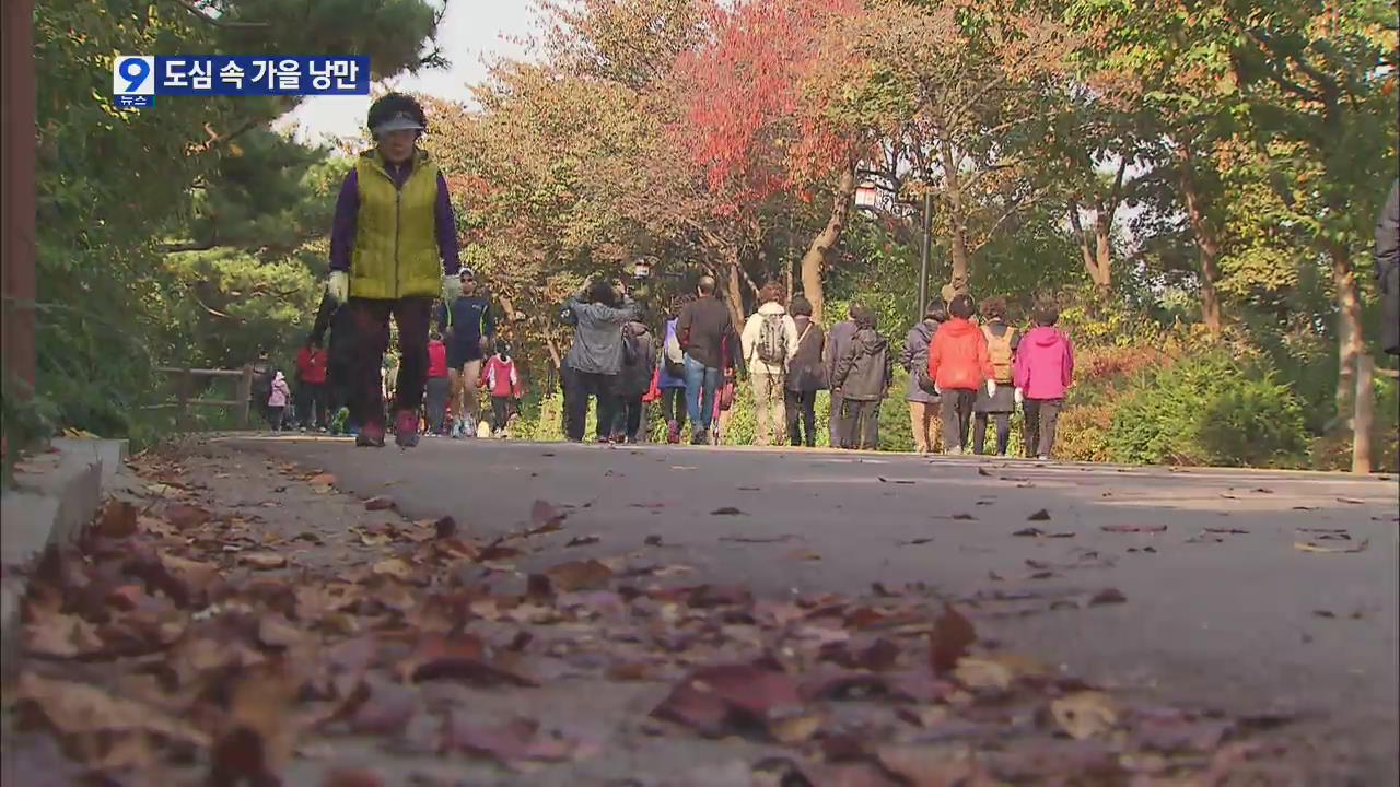 산에 가지 않아도 가을 물씬…도심에 내려온 단풍