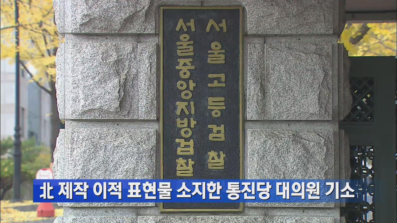 北 제작 이적 표현물 소지한 통진당 대의원 기소