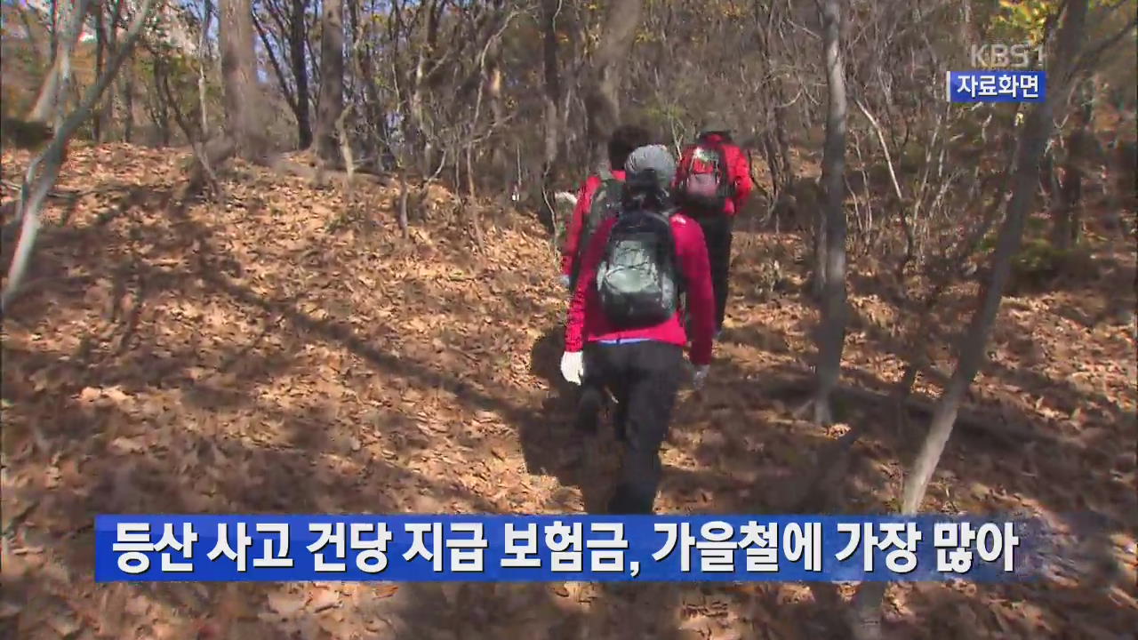 등산 사고 건당 지급 보험금, 가을철에 가장 많아