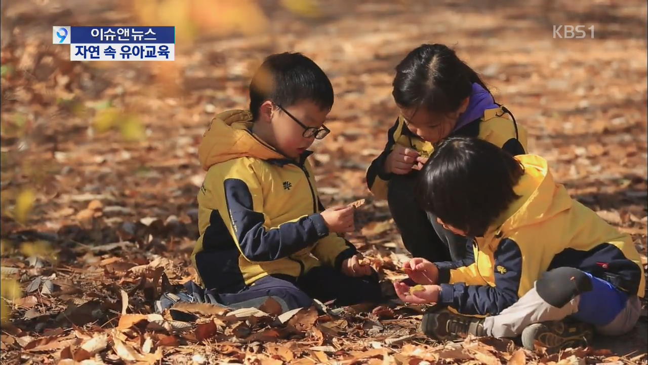 [이슈&뉴스] 자연 속 유아교육 ‘숲 유치원’…효과는?
