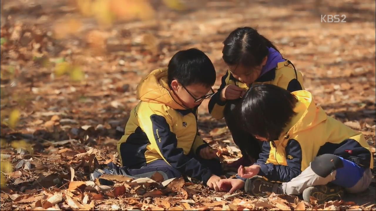자연으로 가는 유아교육 ‘주목’…숲이 배움터