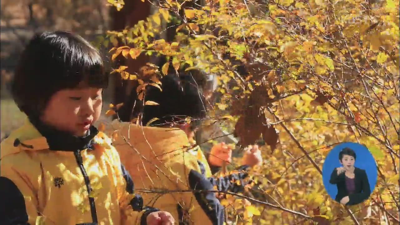 자연으로 가는 유아교육…‘숲’이 배움터