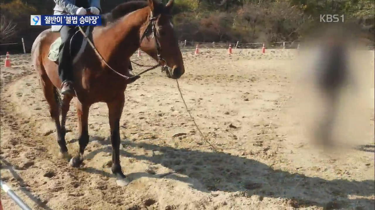 [현장추적] 절반이 ‘불법 승마장’…사고 후 보상 막막 