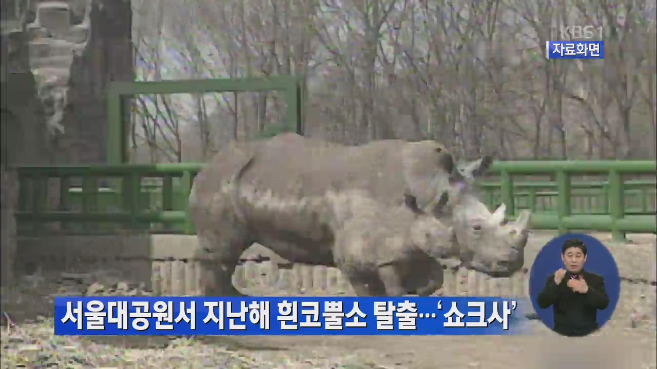 서울대공원 지난해 흰코뿔소 탈출…‘쇼크사’